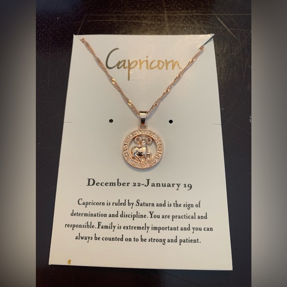 Capricorn Zodiac Pendant Necklace in Gold - Picture 1 of 2